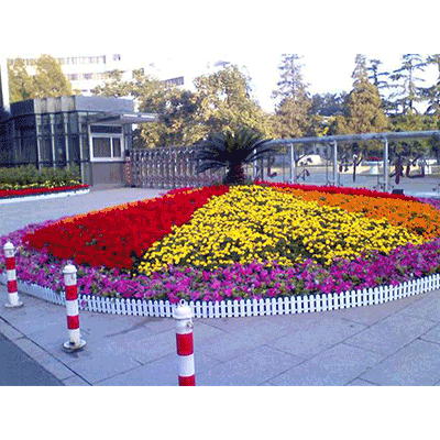 花卉銷(xiāo)售租擺